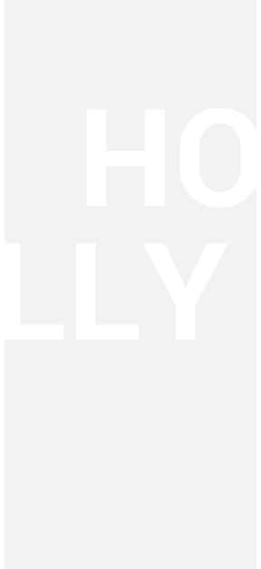 Holly Electronics