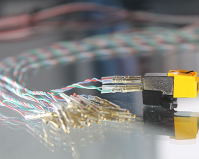 Wire Harness Inspection